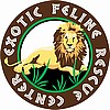 EFRC iron-on patch